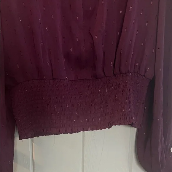 Express Plum Sheer Smocked Waist & Neck Long Sleeve Blouse - Picture 5 of 5